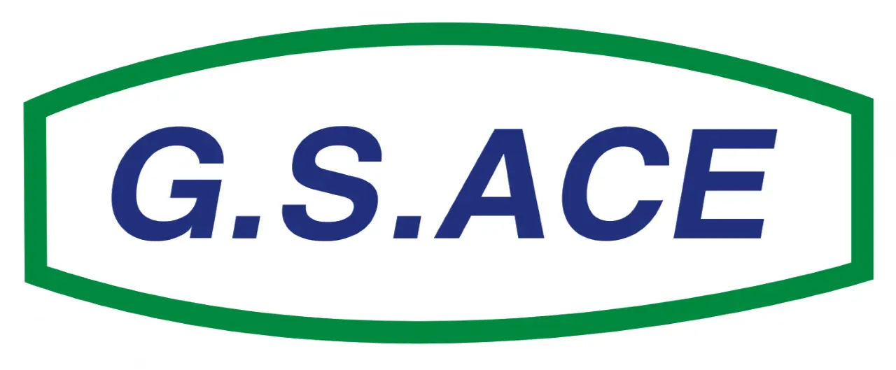 GS Ace Logo