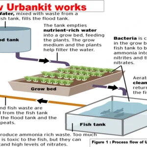 Urban Kit Complete Aquaponic System