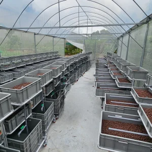 Urban Kit Complete Aquaponic System